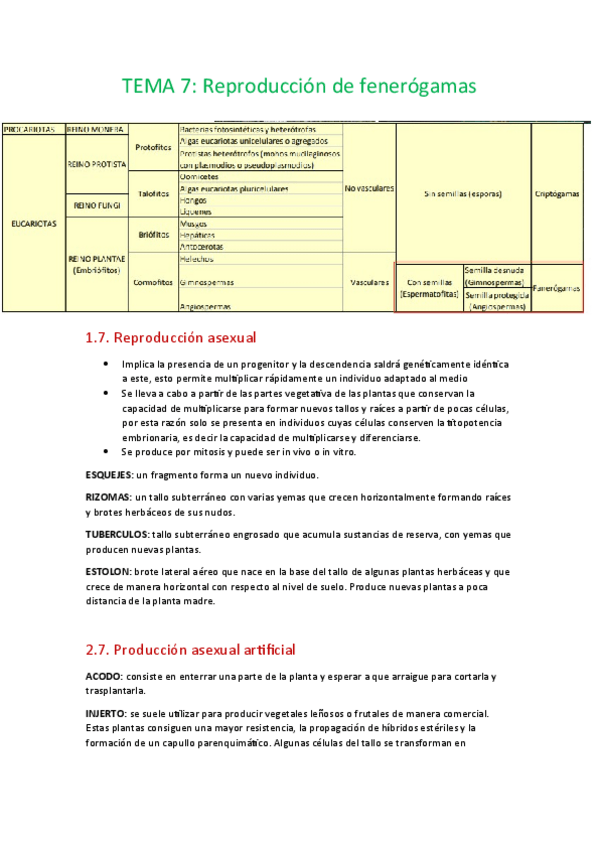 Miniatura del documento Tema-7-reproduccion-de-fenerogamas.pdf