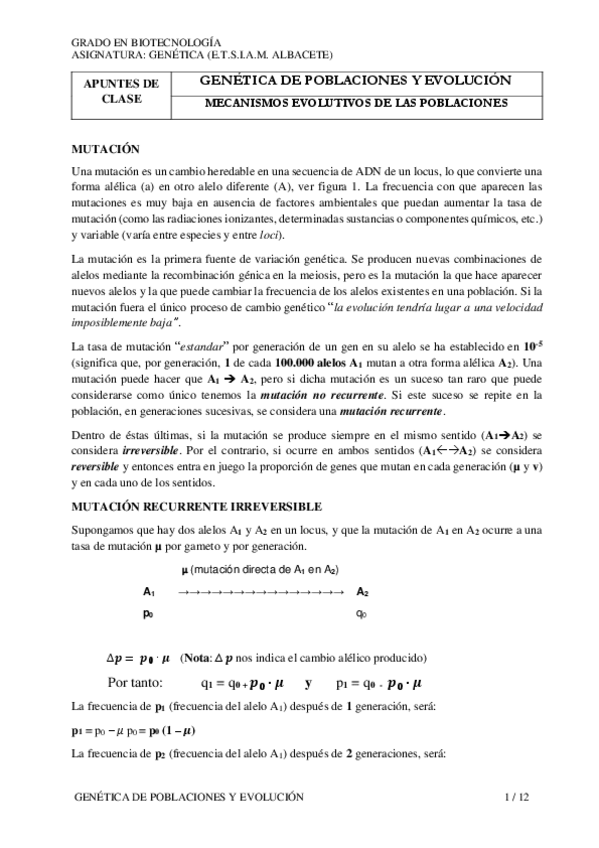 Miniatura del documento APUNTE-TODO-DESARROLLO-MECANISMOS-EVOLUTIVOS.pdf