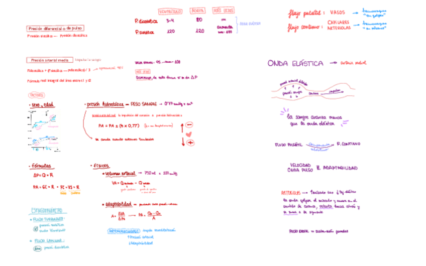 Miniatura del documento Circulacion-Arterial.pdf