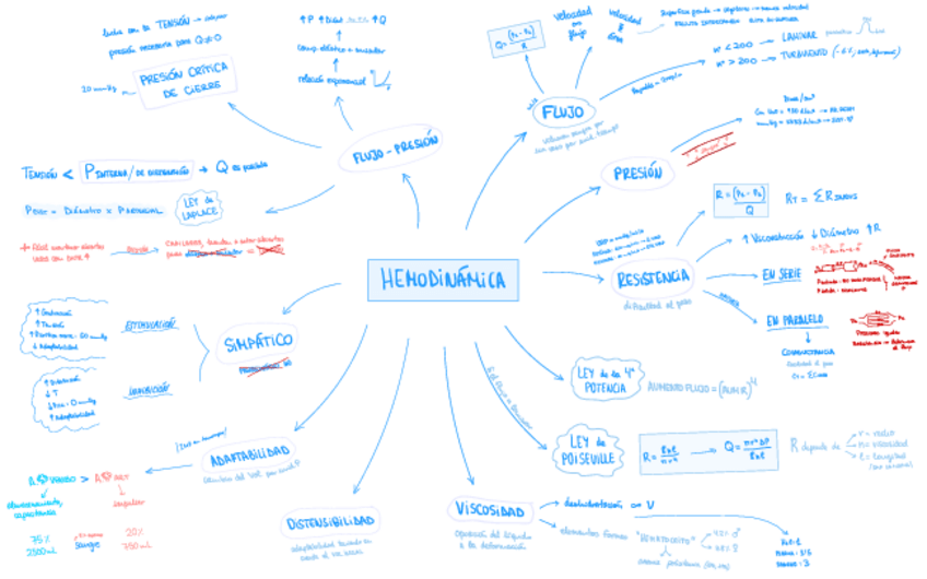 Miniatura del documento Hemodinamica.pdf