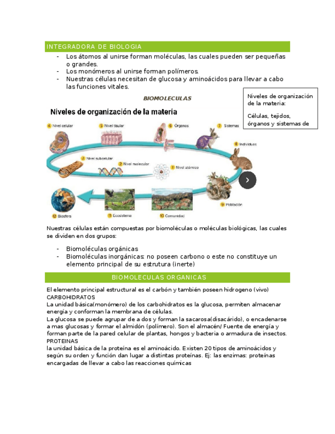 Miniatura del documento INTEGRADORA-DE-BIOLOGIA.docx
