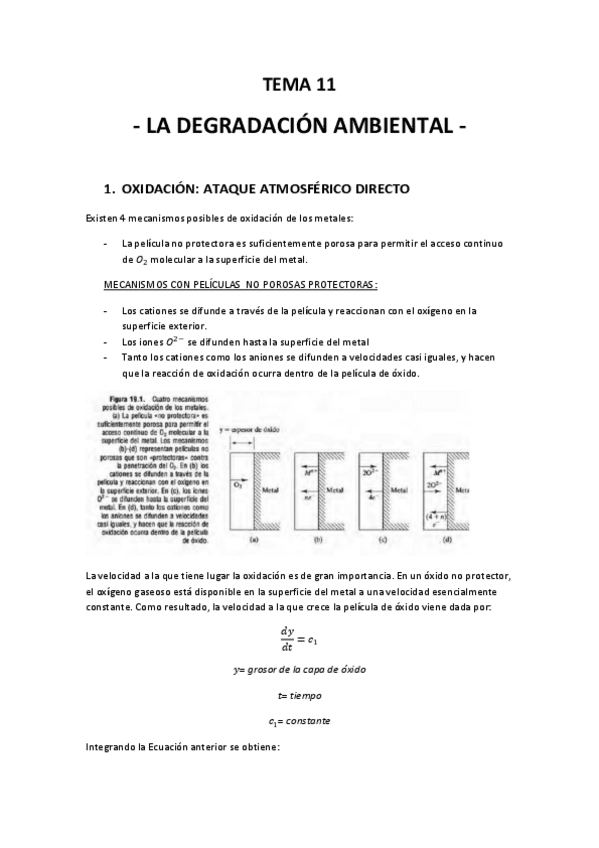 Miniatura del documento TEMA13.pdf