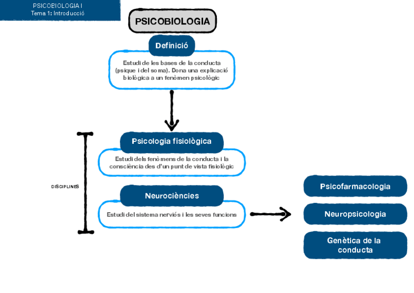 Miniatura del documento MAPES-CONCEPTUALS-PSICOBIOLOGIA-I.pdf