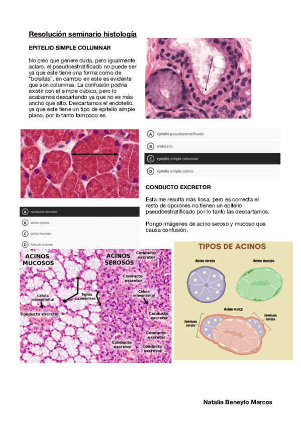 Miniatura del documento Resolucion-Seminario-Histologia.pdf