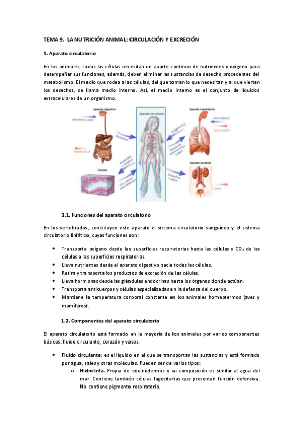 Miniatura del documento Tema-9.-Nutricion-animal.-Circulacion-y-excrecion.pdf