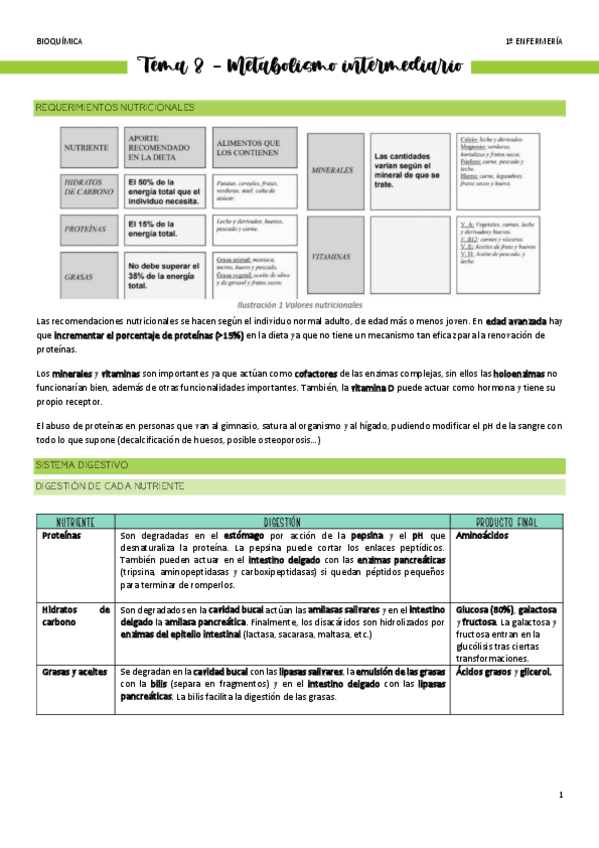 Miniatura del documento Tema-8-Metabolismo.pdf