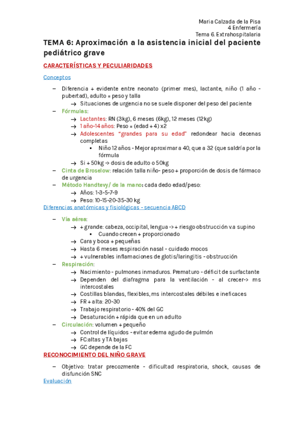 Miniatura del documento T6-Paciente-pediatrico.pdf