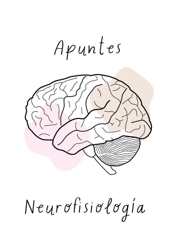 Miniatura del documento 2023-TEMARIO-COMPLETO-NEUROFISIO.pdf