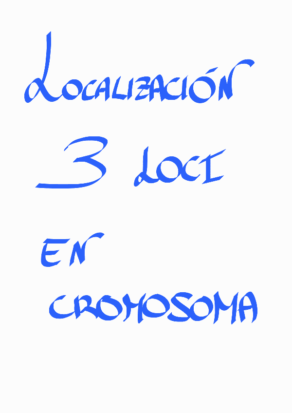 Miniatura del documento 2-LOCALIZACION-3-LOCI-EN-CROMOSOMA.pdf