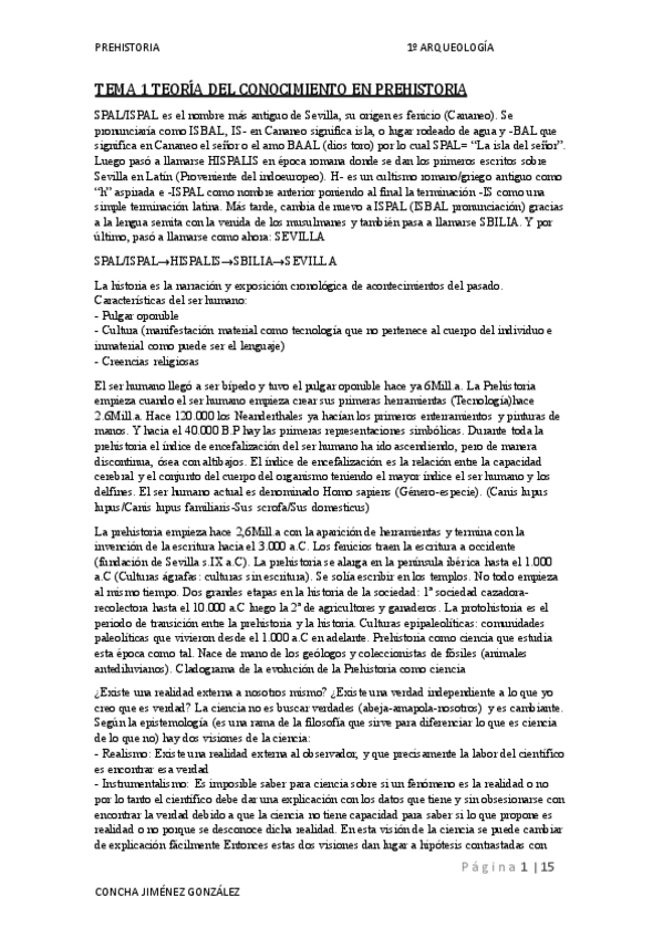 Miniatura del documento PREHISTORIA.pdf