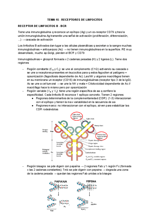 Miniatura del documento TEMA-15-RECEPTORES-DE-LINFOCITOS.pdf