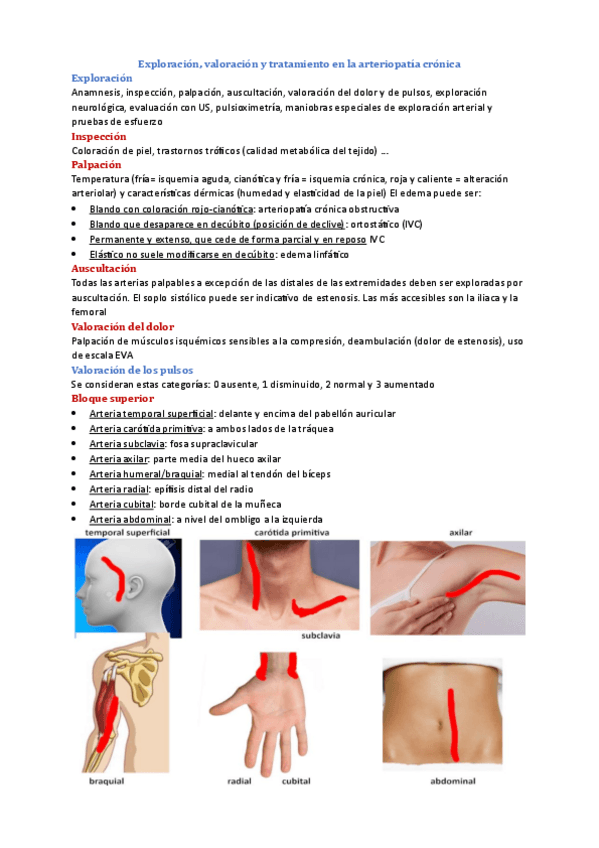 Miniatura del documento PRACTICAS-VASCULAR.pdf