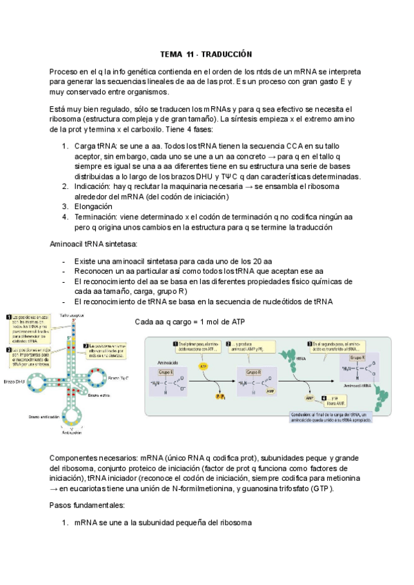 Miniatura del documento TEMA-11-TRADUCCION.pdf