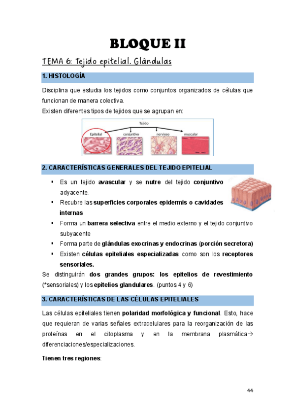 Miniatura del documento Teoria-Biologia-Bloque-Histologia.pdf