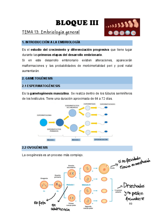 Miniatura del documento Teoria-Biologia-Bloque-Embriologia.pdf