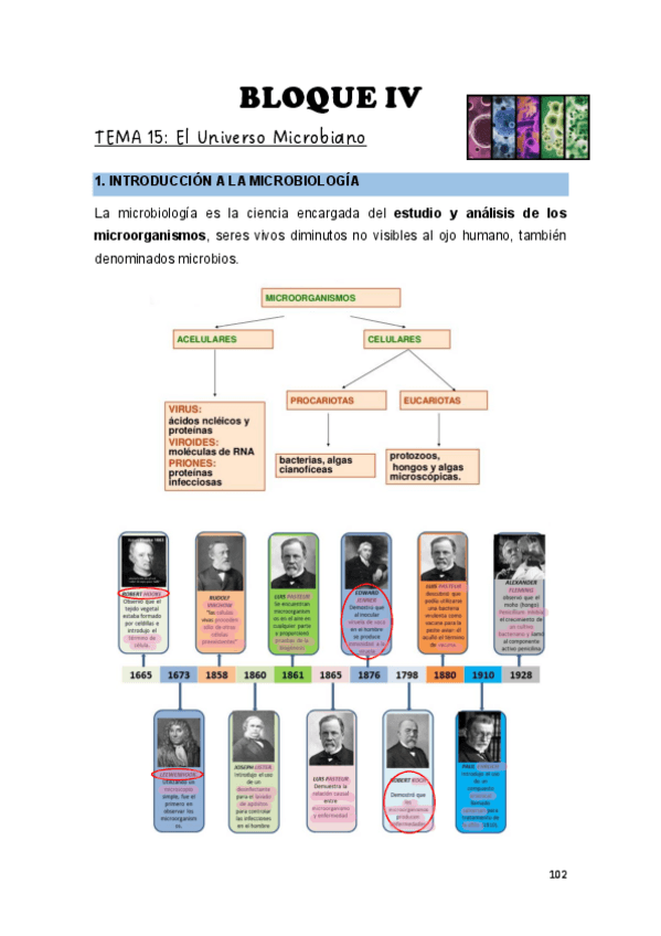 Miniatura del documento Teoria-biologia-Bacterias.pdf