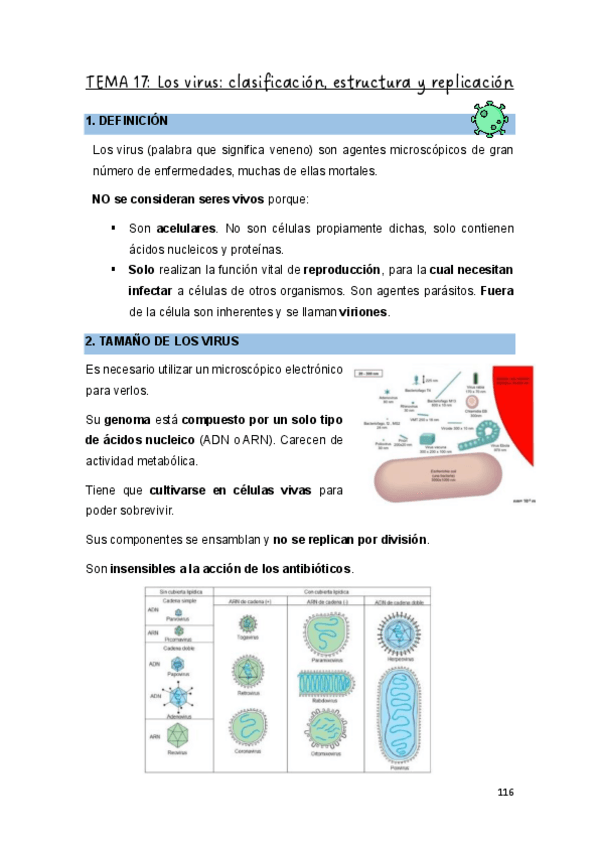 Miniatura del documento Teoria-Biologia-Virus-sistema-inmune-y-hongos.pdf