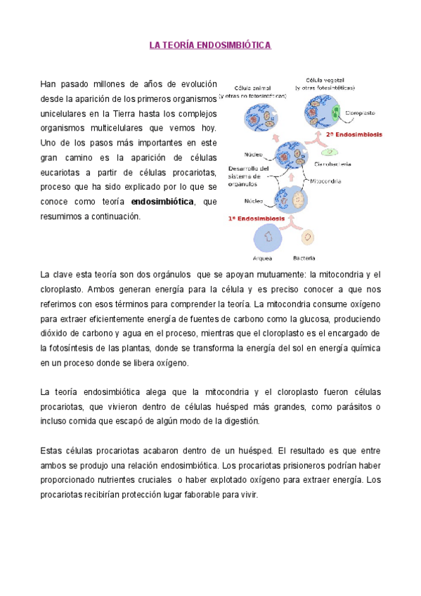 Miniatura del documento teoria-endosimbiotica.pdf