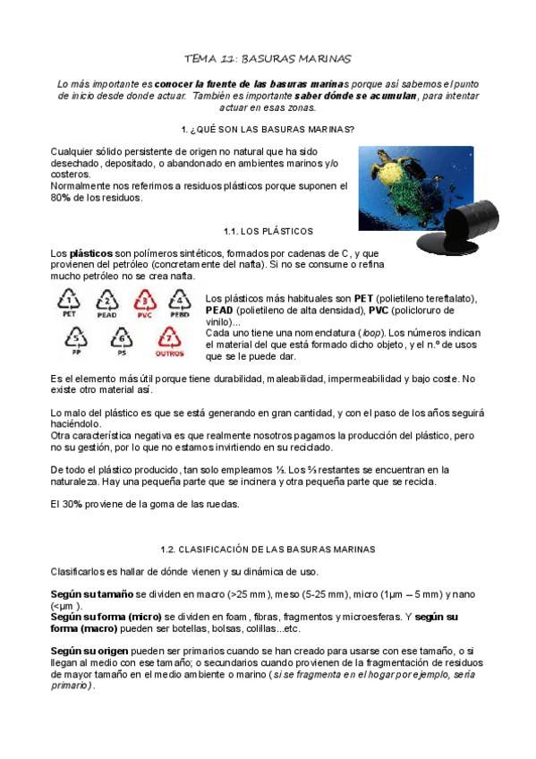 Miniatura del documento T11_Basuras marinas.pdf