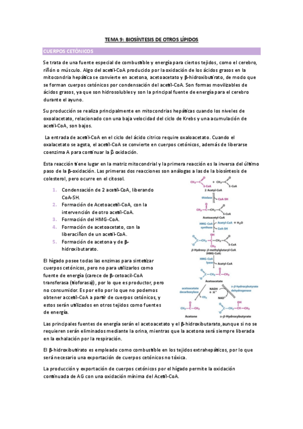 Miniatura del documento TEMA-9-BIOQUIMICA.pdf