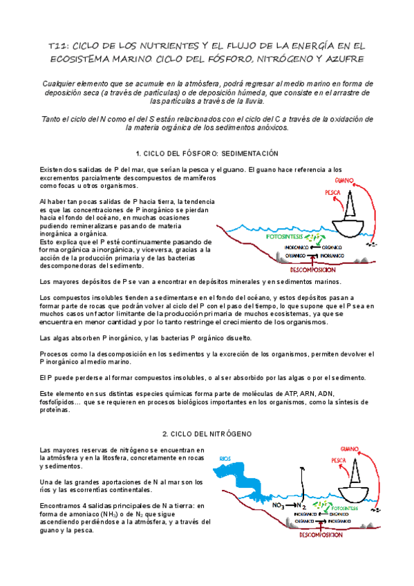 Miniatura del documento T11_Ciclo del N, P y S.pdf