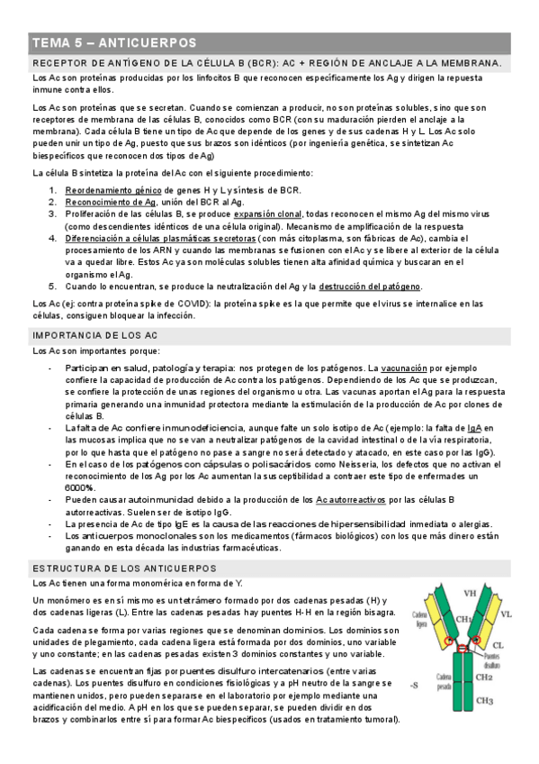 Miniatura del documento TEMA-5-INMUNOLOGIA-ANTICUERPOS.pdf
