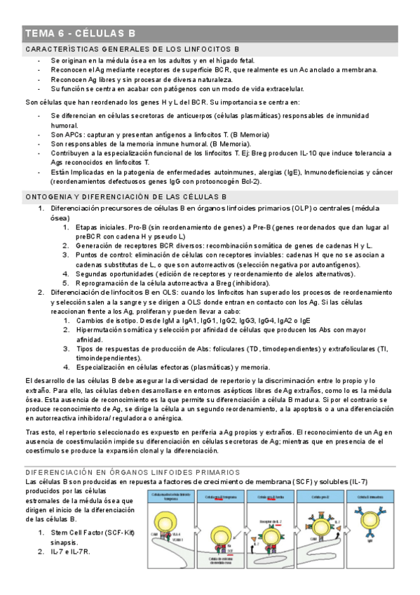 Miniatura del documento TEMA-6-CELULAS-B.pdf