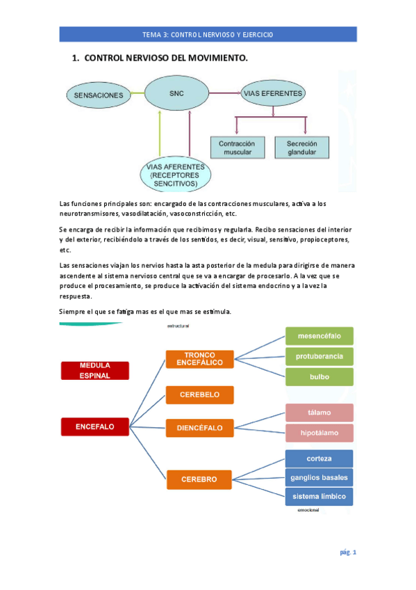 Miniatura del documento TEMA-3.pdf