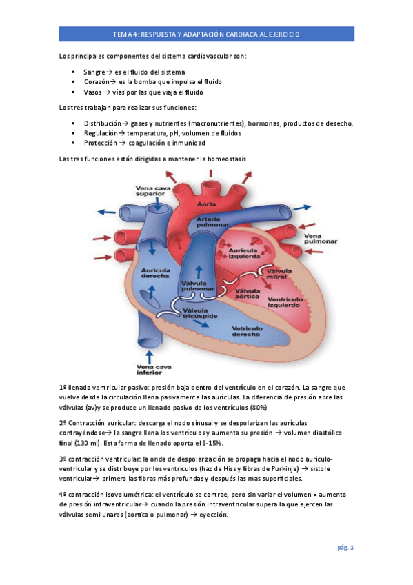 Miniatura del documento TEMA-4.pdf