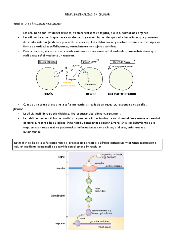 Miniatura del documento T10BIOLOGIA.pdf