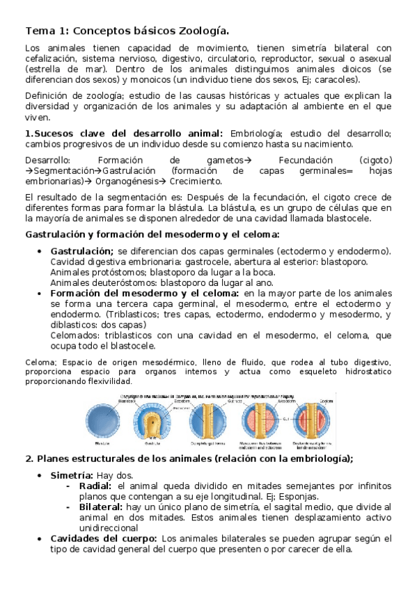 Miniatura del documento Tema-1-Conceptos-basicos-Zoologia.docx