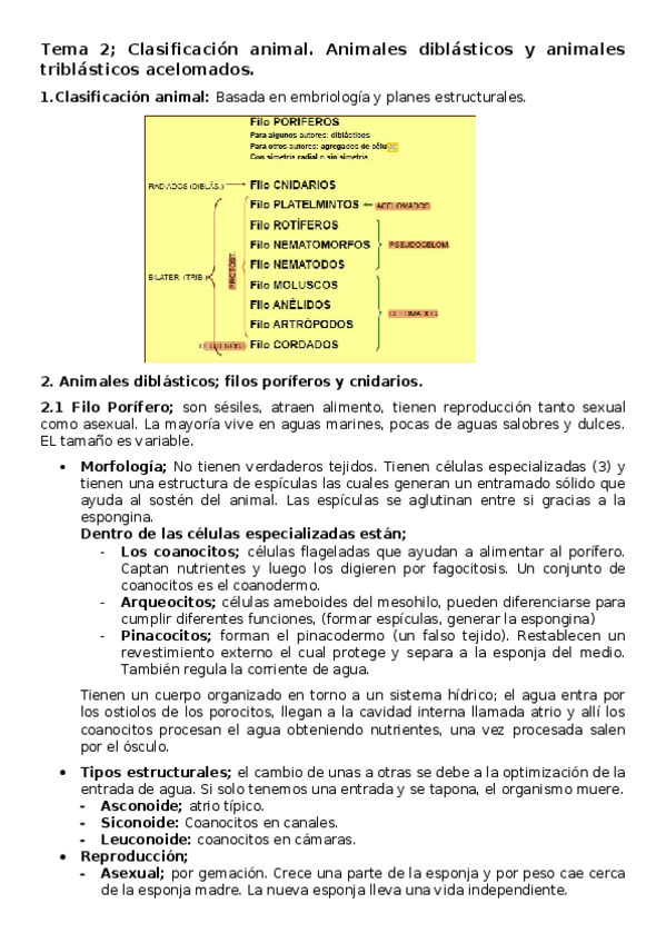 Miniatura del documento Tema-2-Clasificacion-animal.docx