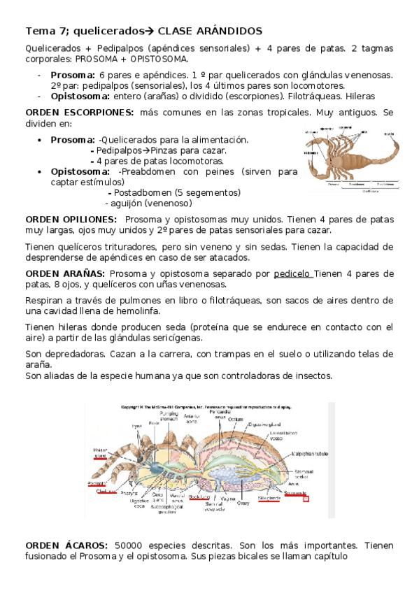 Miniatura del documento Tema-7-Quelicerados.docx