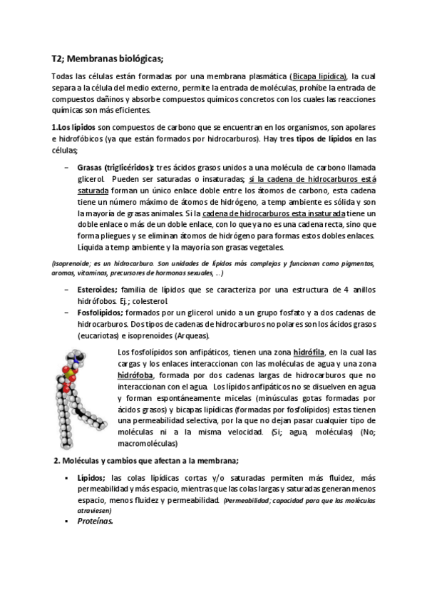 Miniatura del documento T2Biologia-1.pdf