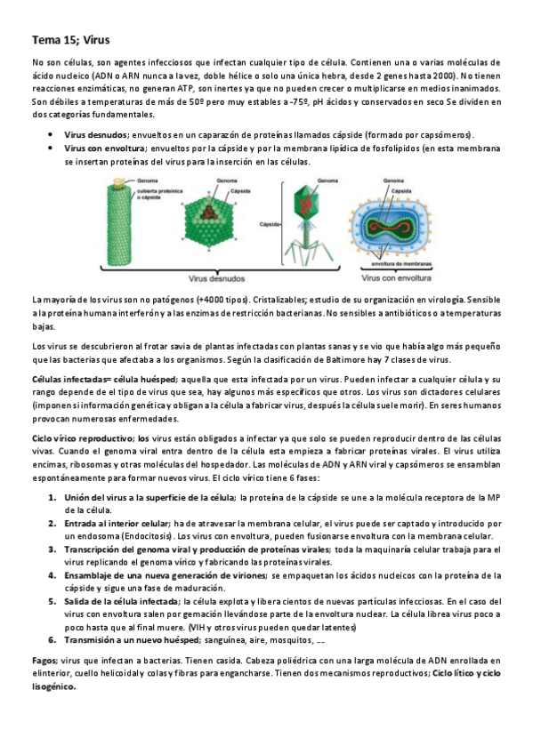 Miniatura del documento Tema-15-Virus.pdf