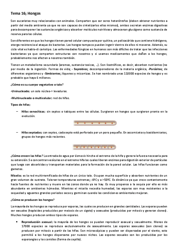 Miniatura del documento Tema-16-Hongos-1.pdf
