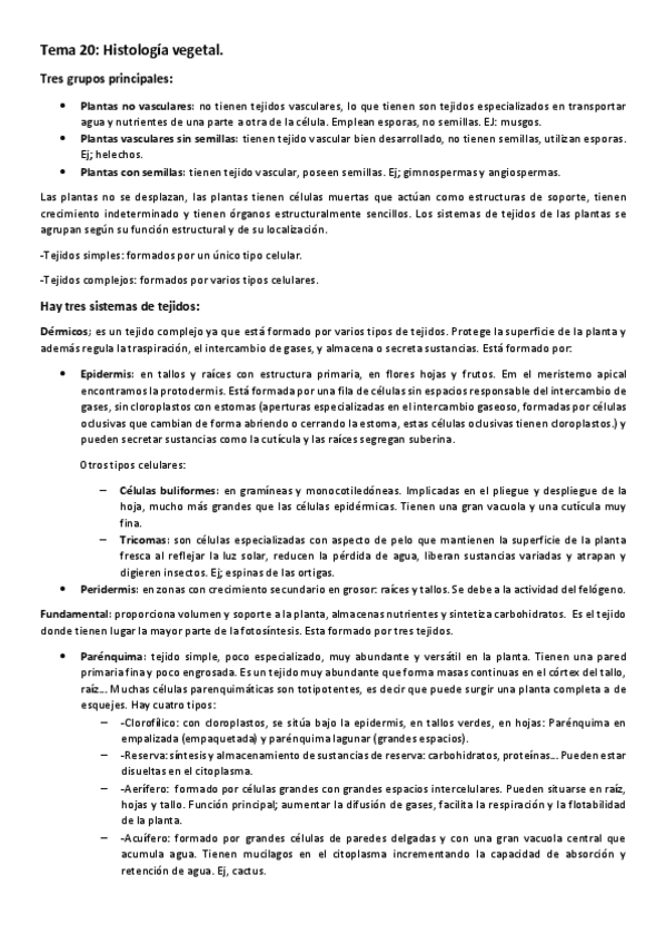 Miniatura del documento Tema-20-Histologia-vegetal.pdf