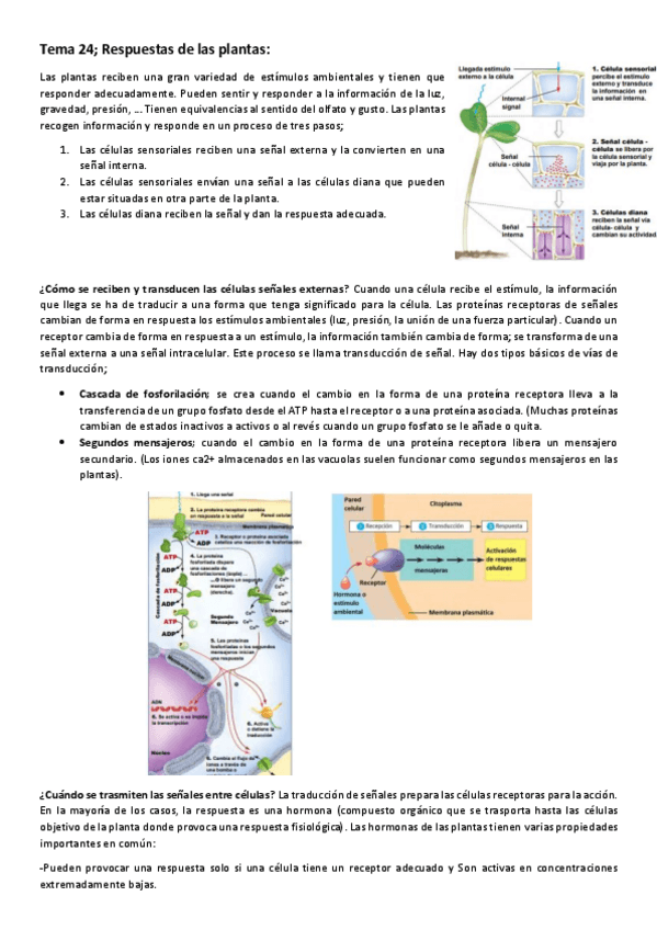 Miniatura del documento Tema-24-Respuestas-de-las-plantas.pdf