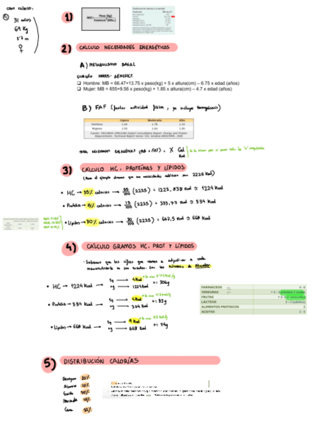 Miniatura del documento Preparacion Examen Practico (todo lo que necesitas).pdf