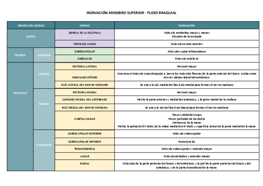 Miniatura del documento TABLA inervación plexo-braquial.pdf