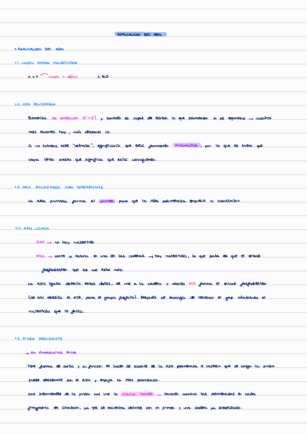 Miniatura del documento T2-replicacion-del-ADN.pdf