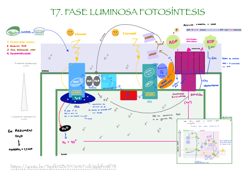 Miniatura del documento Esquema-T7-FV.pdf