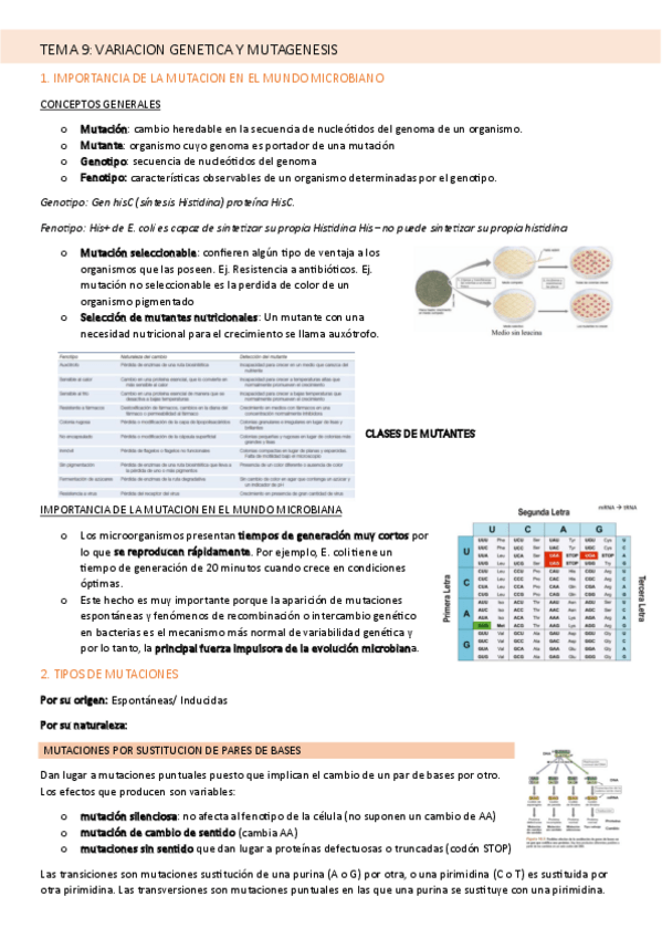 Miniatura del documento TEMA-9-MICROBIOLOGIA.pdf