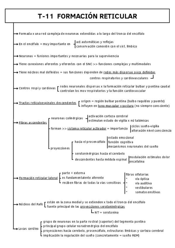 Miniatura del documento T-11-FORMACION-RETICULAR.pdf