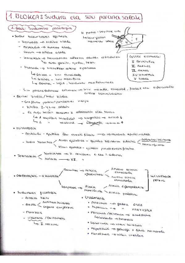 Miniatura del documento Sudurreko-patologia (2023-2024).pdf