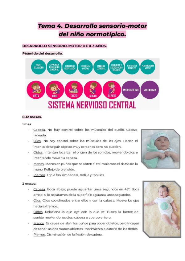 Miniatura del documento Tema-4.-APIIA..pdf