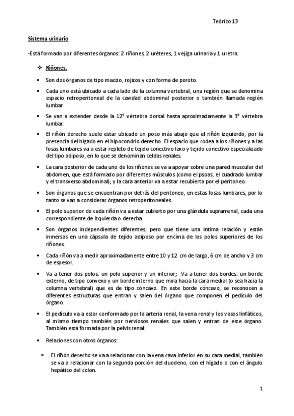 Miniatura del documento 13.-Sistema-Urinario.pdf