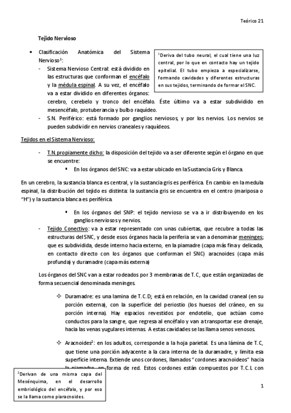 Miniatura del documento 21.-Tejido-Nervioso.pdf