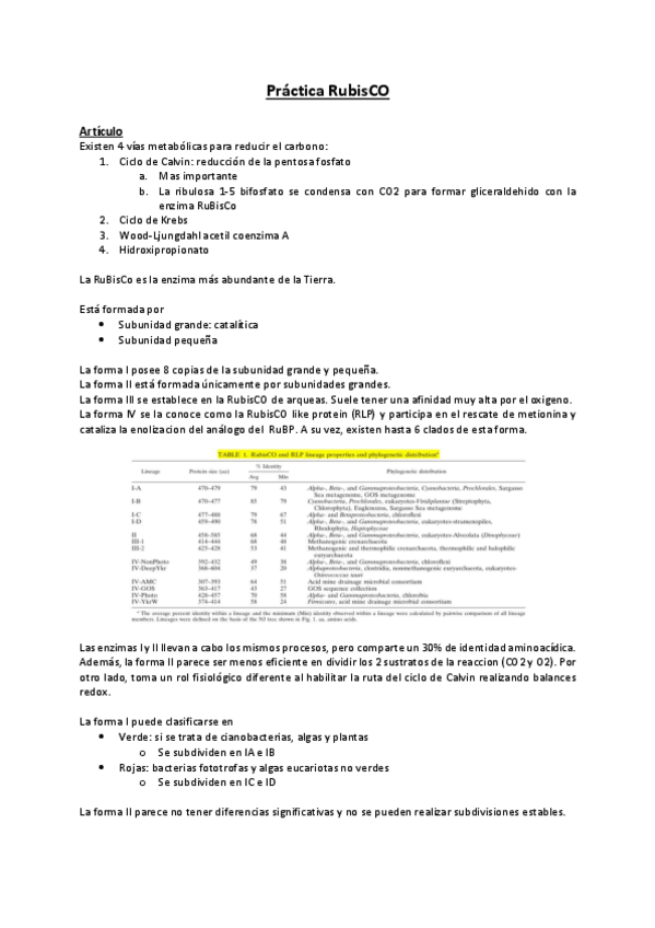 Miniatura del documento Explicacion-RuBisCo.pdf