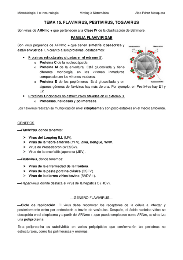 Miniatura del documento TEMA-15-Flavivirus-Pestivirus-Togavirus-y-Priones.pdf